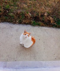 今はどうしてる？（ハナさん提供）