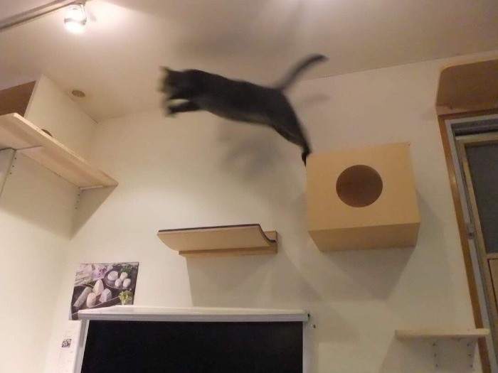 食事しながらこんな光景も見られる