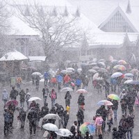 画像はイメージです