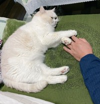 ふじまるくんとお父さんは「心の友」（ふじまる＠ぬいぐるみさん提供）