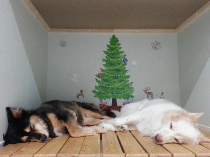 心をゆるし、ぐっすり