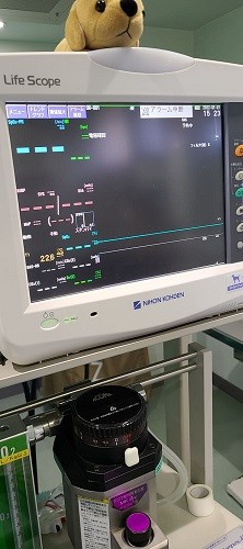 モニターと人工呼吸器（新谷さん提供）