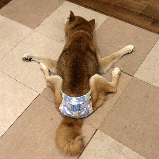 え？？？見られちゃった！