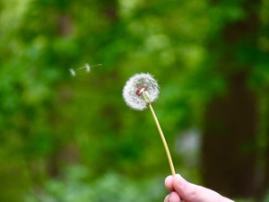 祖母や母から受け継ぎ、守っていく私の生き方。控えめに言って最高だ