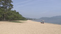 資料　津田の松原（さぬき市）