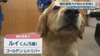 女性を発見した嘱託警察犬／ルイくん（5歳）
