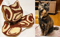 飼い主さんお手製の“サビ猫食パン”とくるみちゃん（画像提供：サビ猫くるみさん）