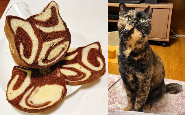 飼い主さんお手製の“サビ猫食パン”とくるみちゃん（画像提供：サビ猫くるみさん）