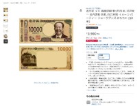 法律に照らすとこういった商品は限りなく黒に使いグレーだ（Amazonから引用）