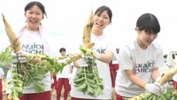 大根の収穫を体験した高校生　香川県坂出市神谷町