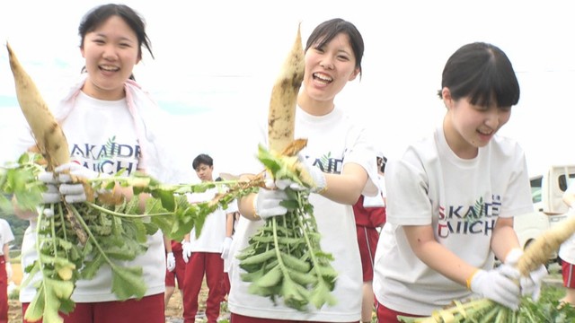 大根の収穫を体験した高校生　香川県坂出市神谷町