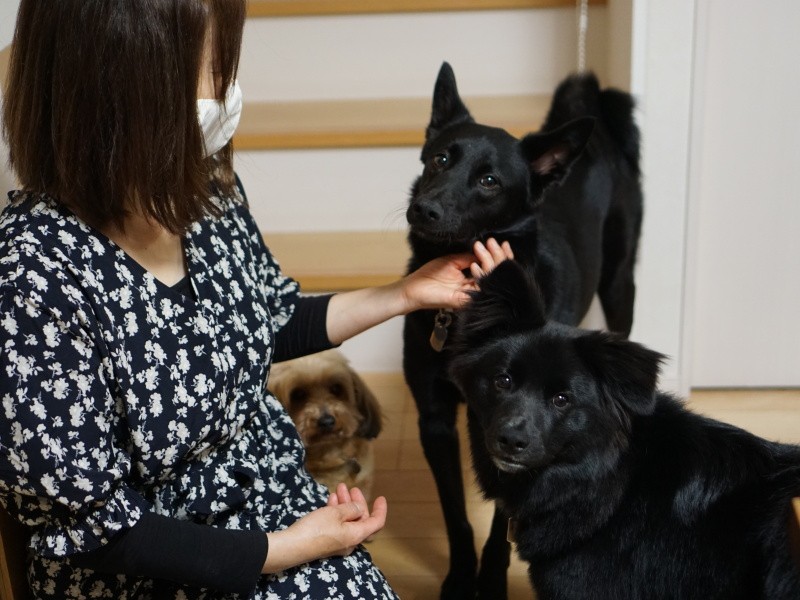 「保護もお世話も苦ではない、にぎやかで楽しい日々です」