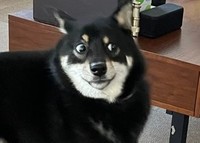 この顔である（笑）