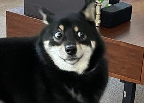 この顔である（笑）