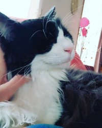 もっとなでなでして〜