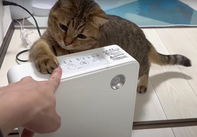 ここ押すにゃ（「みにら日記-MiniraDiary-」さん提供、YouTubeよりキャプチャ撮影）