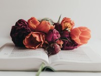 何も得ずに終わったイギリス留学。それでも行ってよかったと言える今