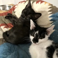 手術を終え、元気になったヨルイチくん