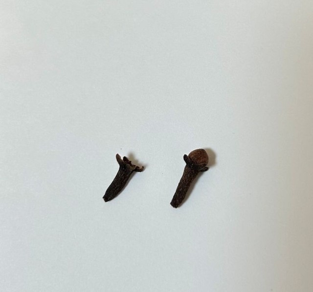 香辛料としておなじみのクローブ。 ※めるもさん提供