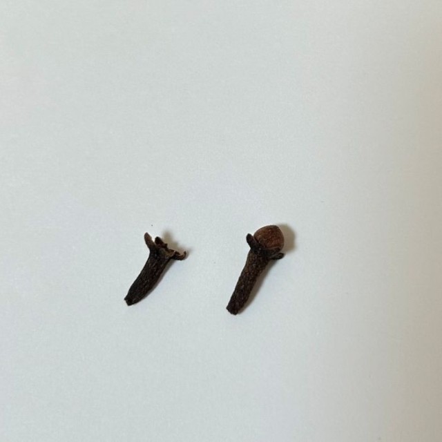 香辛料としておなじみのクローブ。 ※めるもさん提供