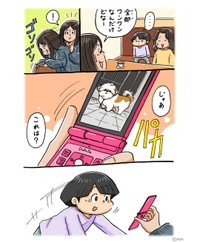 【漫画】『calledわんわん』3（シーズーマンガ「あうんのてんぽ」作者さん提供）