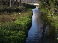 子猫を用水で見つけた時の保護方法とは？（photoACより「モモノツキ」さん撮影、イメージ画像）
