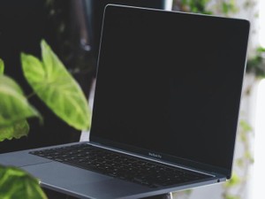 言うなれば、コスパ最強就活。コロナ禍での就活を終えた私