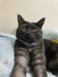 当時はお風呂にも付き添っていたそう