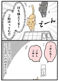 【漫画】『ネコと暮らした9日間』14（イゴカオリさん提供）