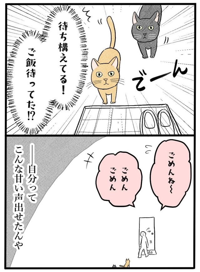 【漫画】『ネコと暮らした9日間』14（イゴカオリさん提供）