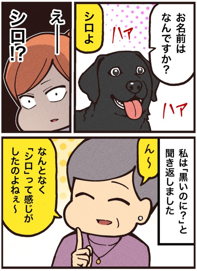 【漫画】『シロという名の犬』6（大友しゅうまさん提供）