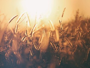 亡くなった友人の街へ。泣きそうになった、お母さんからのLINE