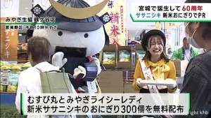 宮城米ササニシキ誕生６０年　新米おにぎりでＰＲ