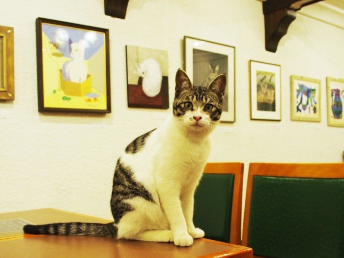 新入りケン（８カ月）は、川沿いで保護された元ノラ。