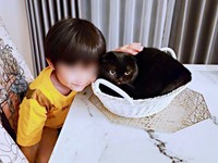 カゴの中に入ってくつろぐぷりもちゃん（画像提供：ふわもさん）