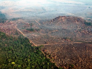 アマゾンの熱帯雨林に迫る「限界点」　温暖化が抑制できなくなる前にやるべきこと