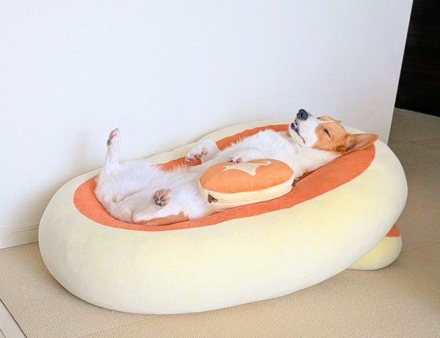 チーズ蒸しパンでお昼寝中のこまちちゃん