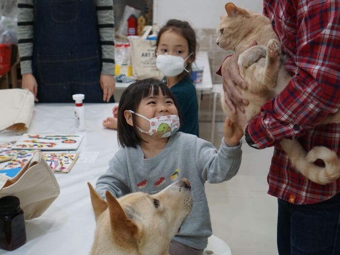 「あー猫ちゃんだ」「名前はもちっていうんだよ」