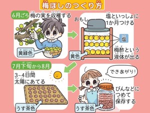 美品。日本の歴史 : きのうのあしたは… 第1～7 Amazon.com: 日本の歴史きのうのあしたは……第7巻世界の中の日本
