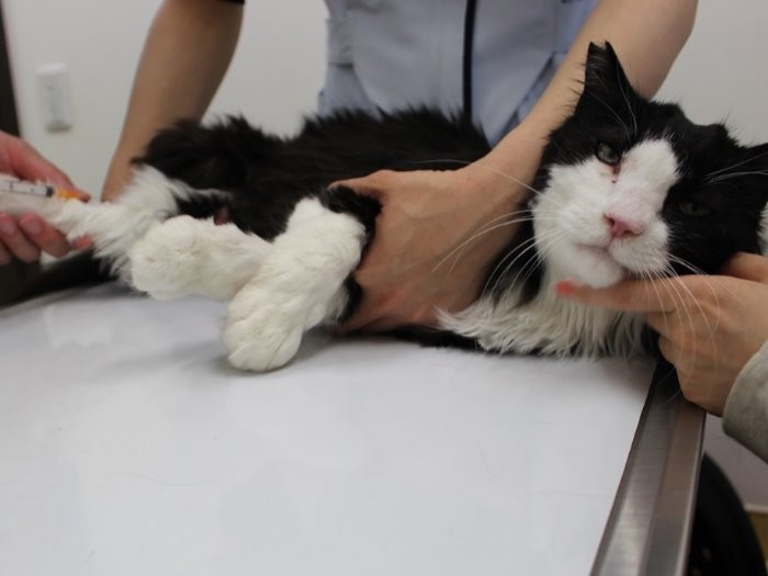 決意し、祈るような思いで最初の抗がん剤を受けた（4月）