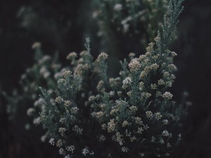 失礼な発言には失礼だと言い返してみる。そこに立場は関係ない。