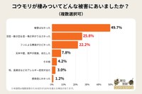 コウモリが棲みついて、どんな被害にあいましたか？（提供画像）