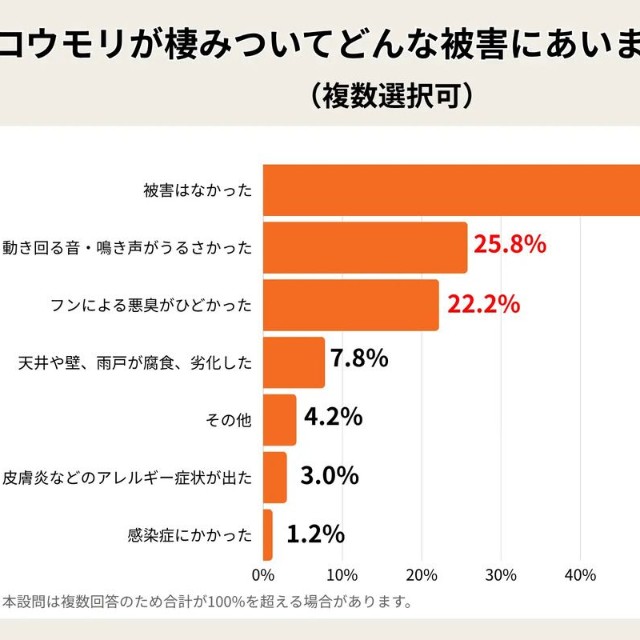 コウモリが棲みついて、どんな被害にあいましたか？（提供画像）