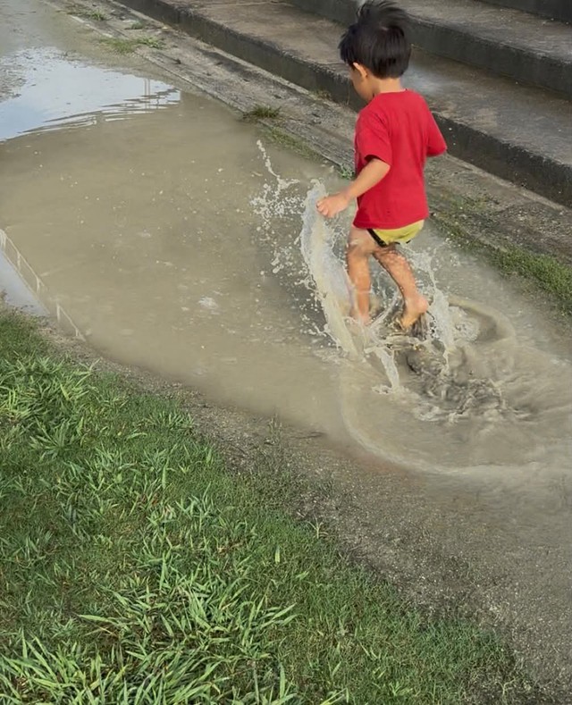 大きな水溜りに興味津々（01_80kun__さん提供）