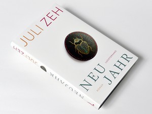 自我と自我がぶつかり合う、共働きの緊張関係　ドイツのベストセラー