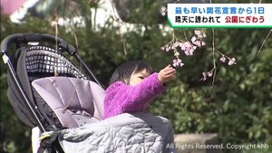 宮城県各地に早くも桜の便り　公園には桜を楽しむ市民の姿　仙台市