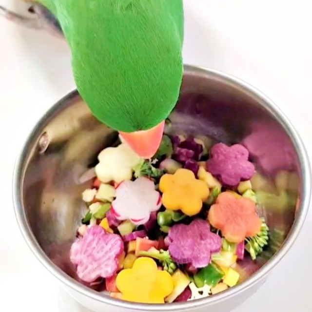 器の中をのぞきこむオオハナさん（画像提供：ゴンさん）