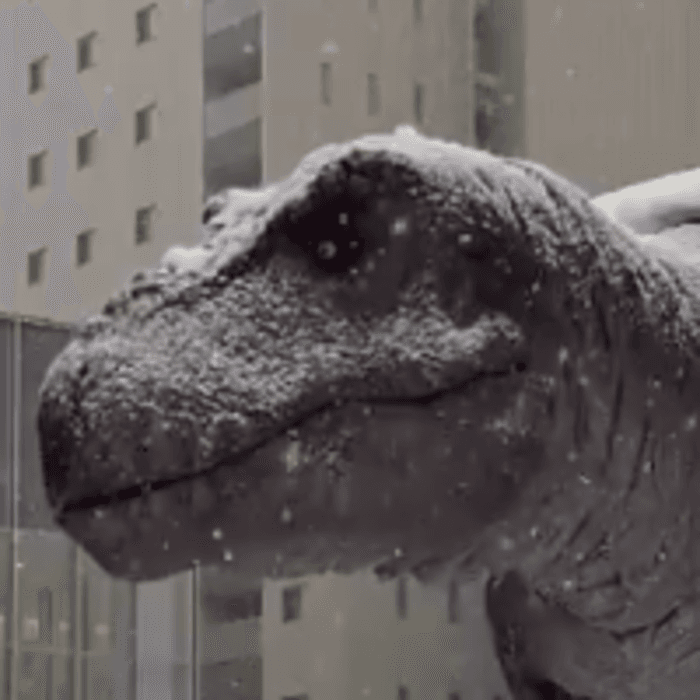 大雪の中でも動き続ける福井駅前の恐竜ロボット／投稿主さん提供