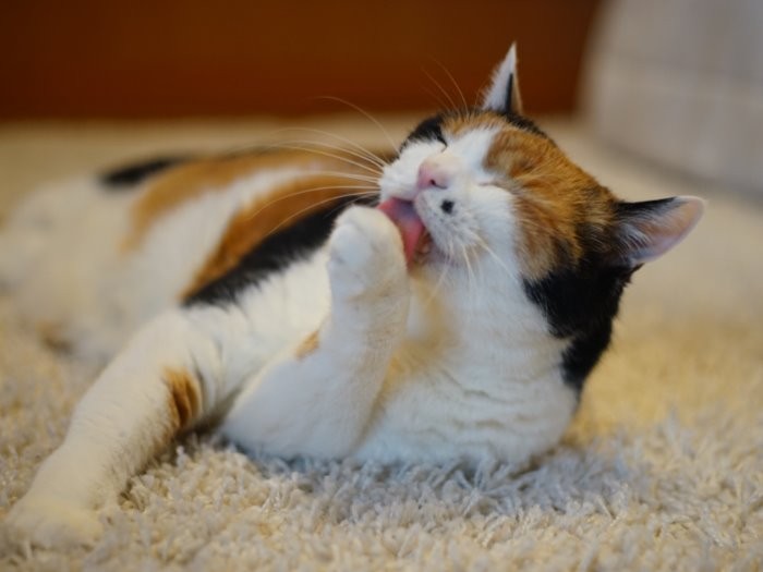 ま、何があってものんびりいきましょ