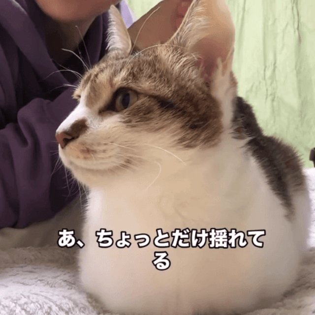 人間が揺れを感じたのは2秒後（画像提供：しぶけんさん）